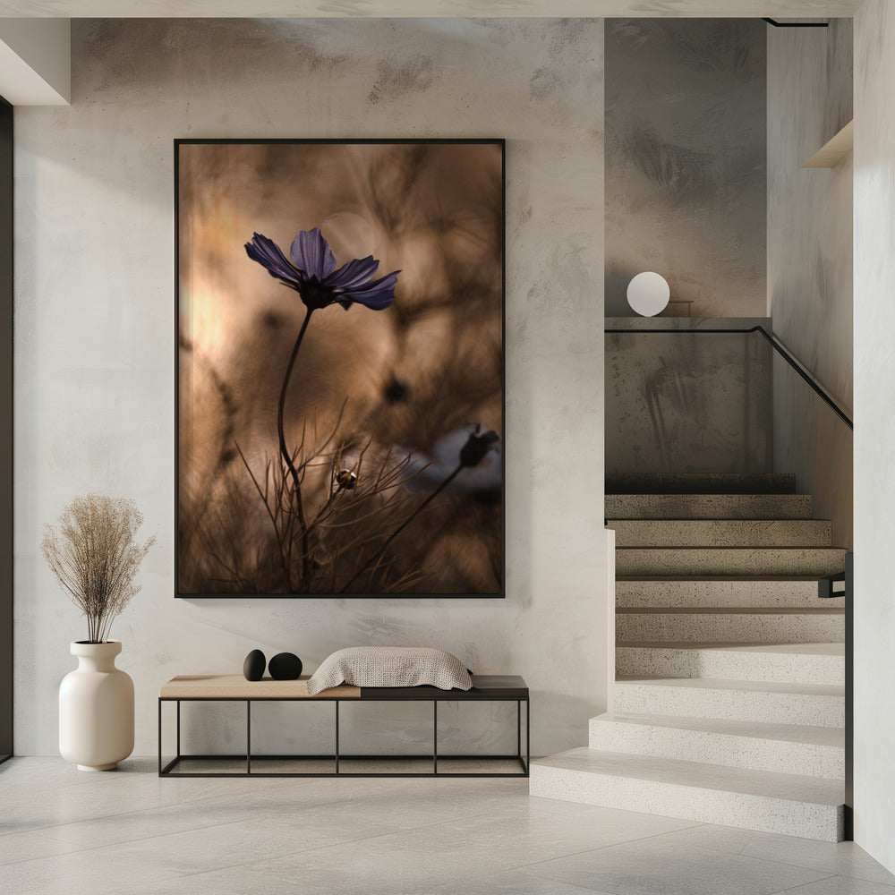 The Dancing Queen | Poster