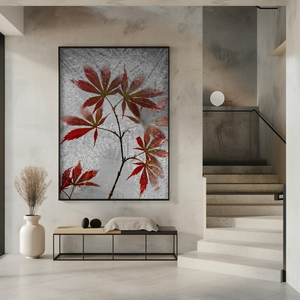 red maple | Poster