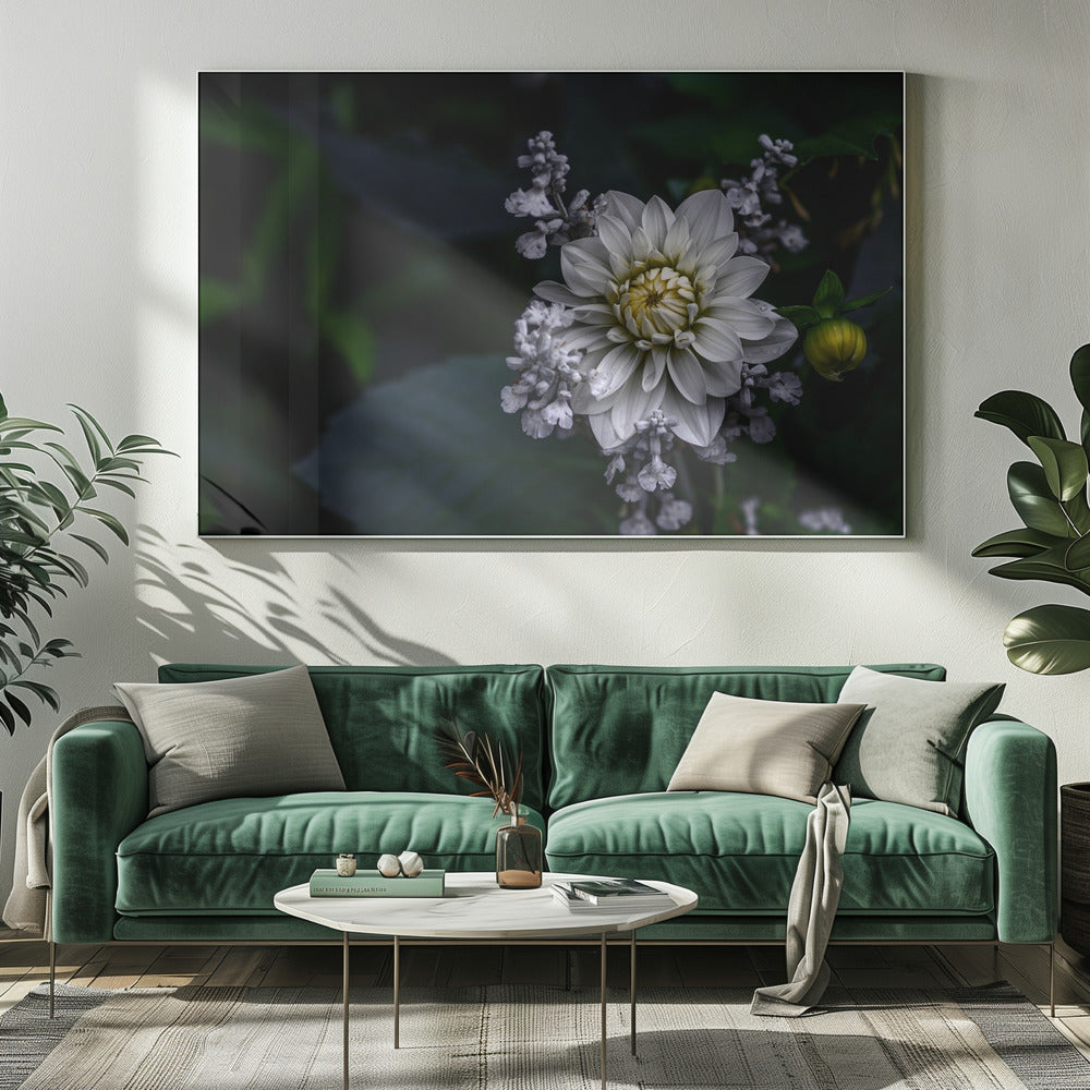 Dahlia flower | Canvas