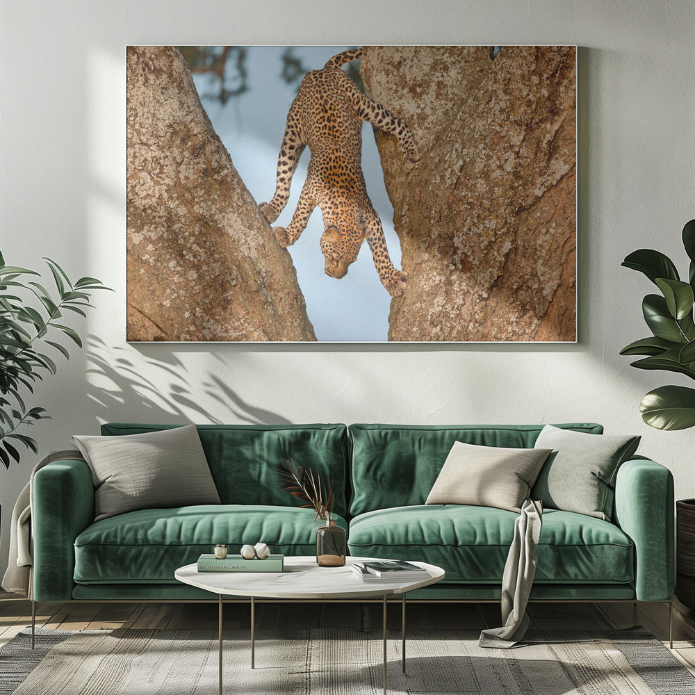 Upside Down | Canvas