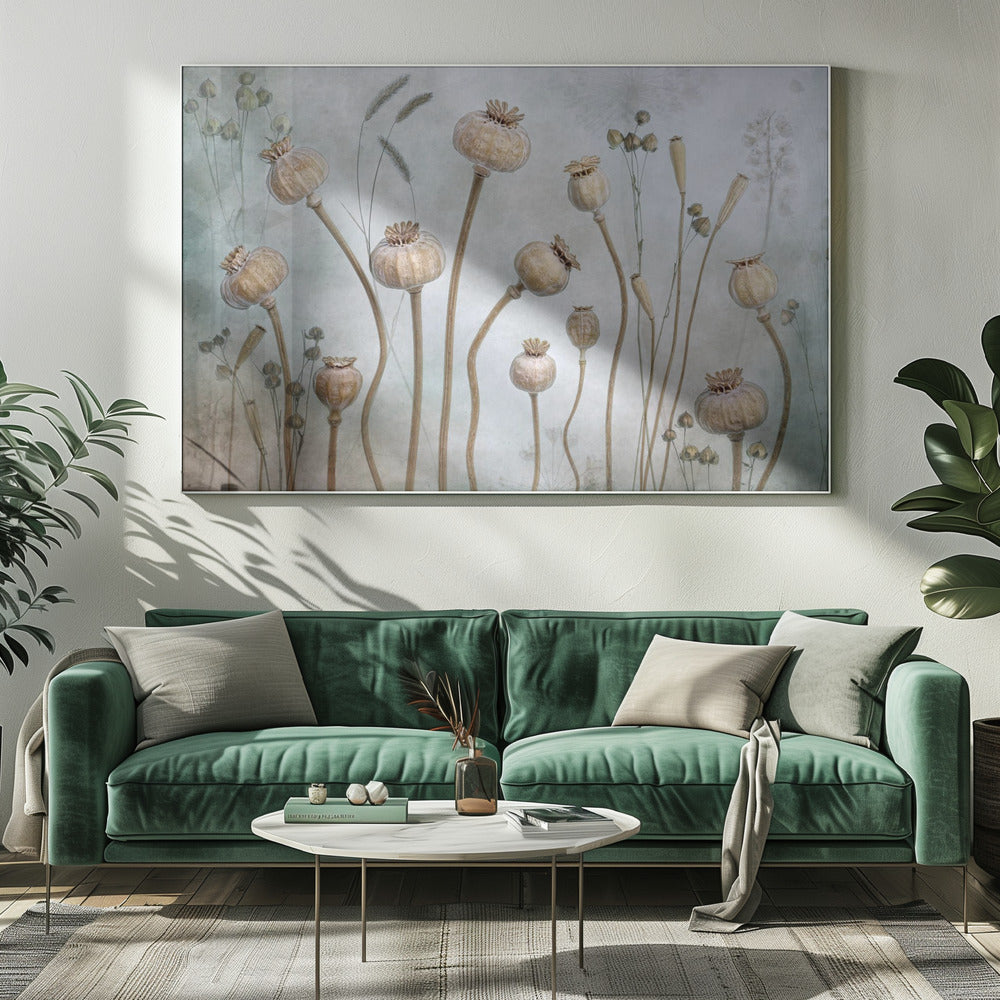 Papaver | Canvas