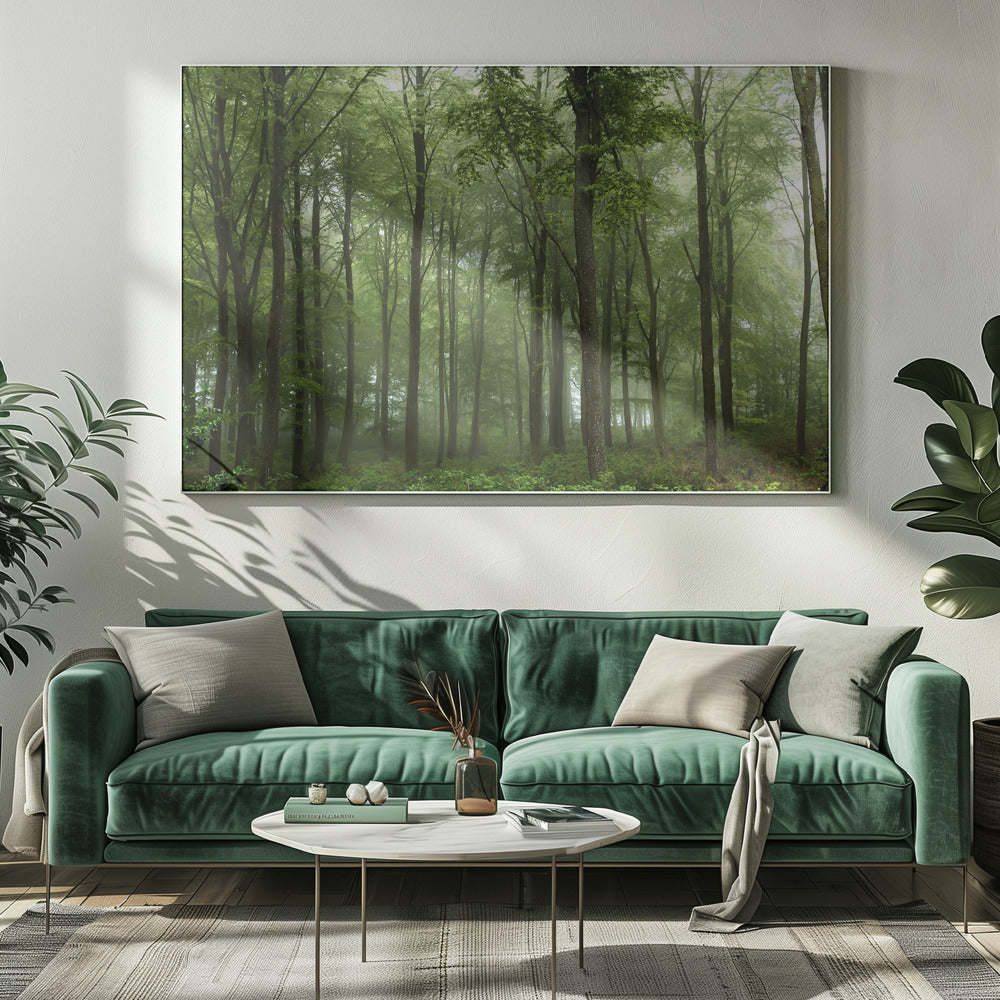 Forest... | Canvas