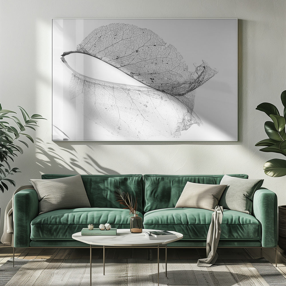 The old leaf | Canvas