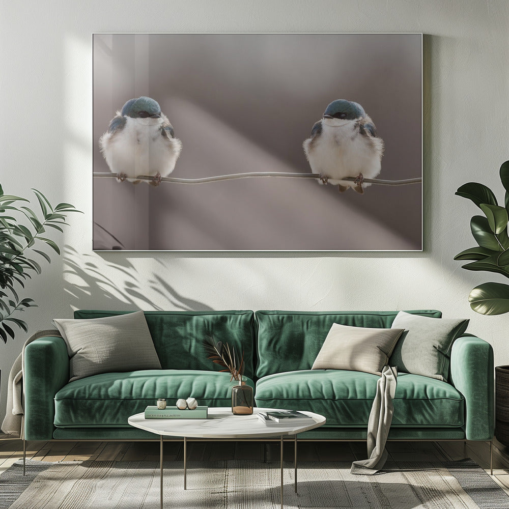Birds on a wire | Canvas