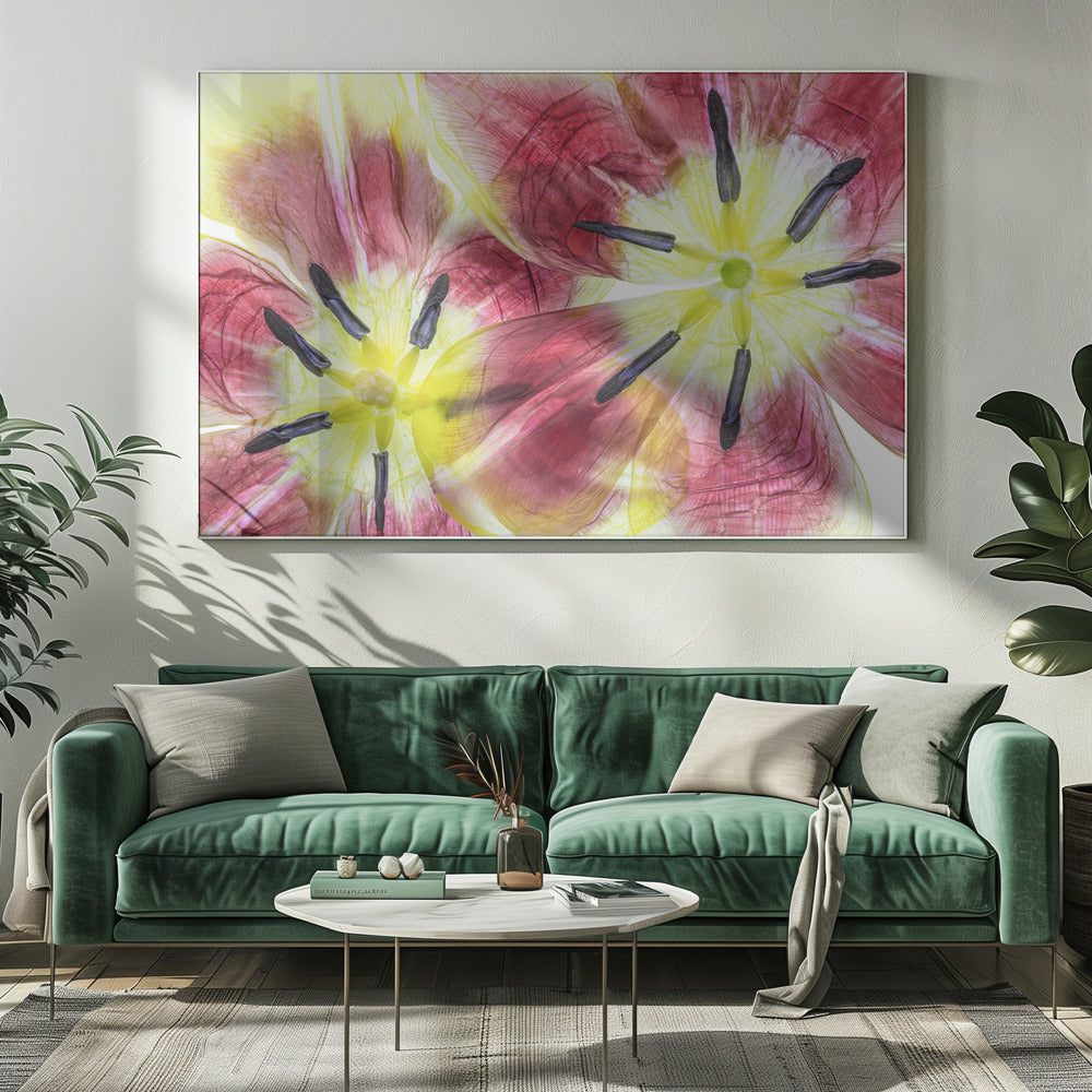 Tulips | Canvas