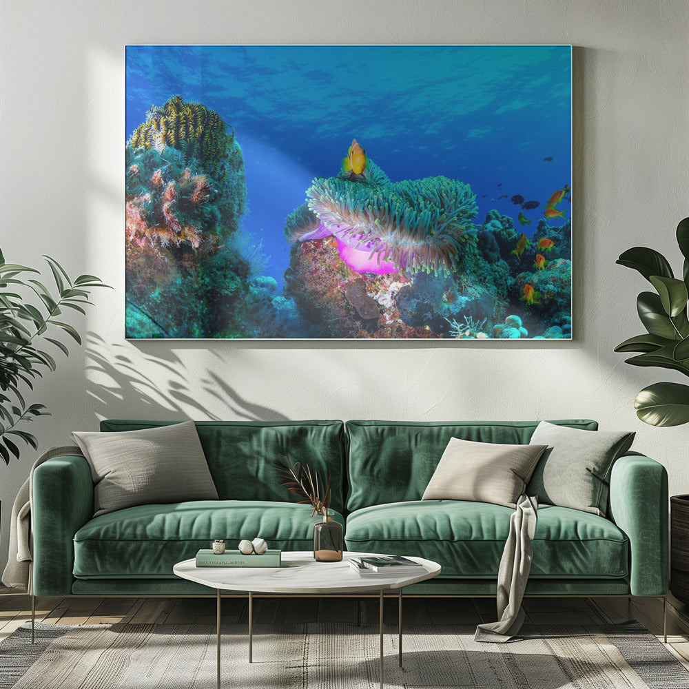 Sea life | Canvas