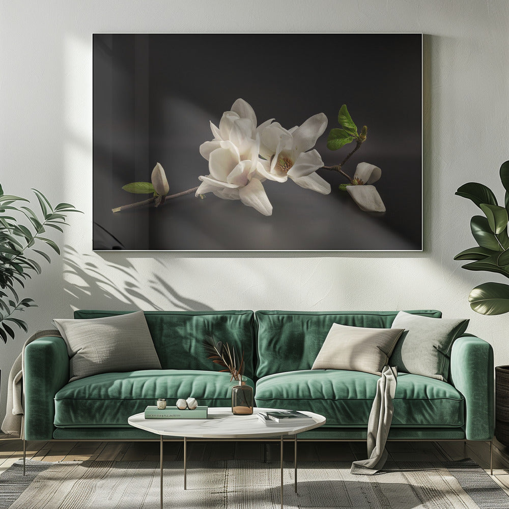 Magnolia | Canvas