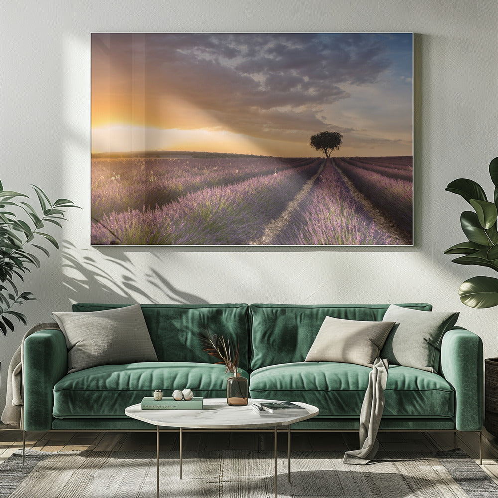 DESTINATION LAVENDER | Canvas