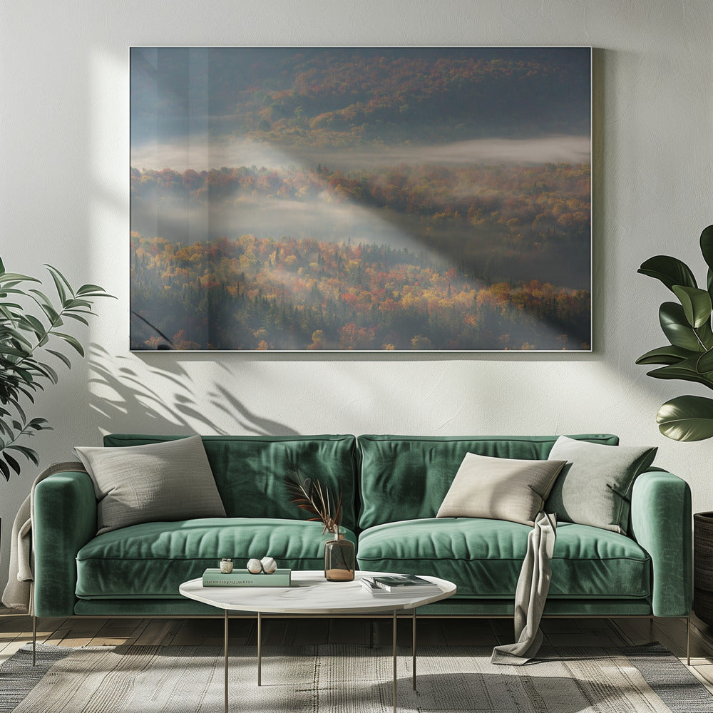 Misty Morning | Canvas
