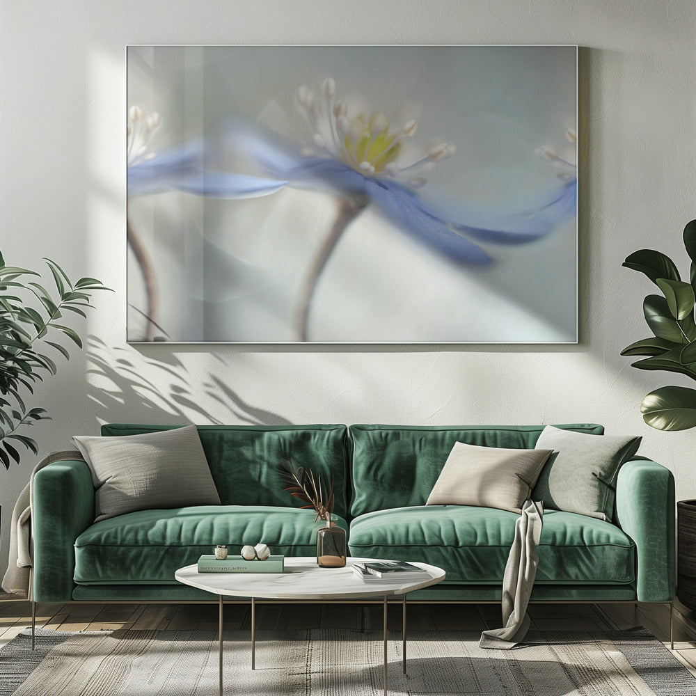 Dancing anemones | Canvas