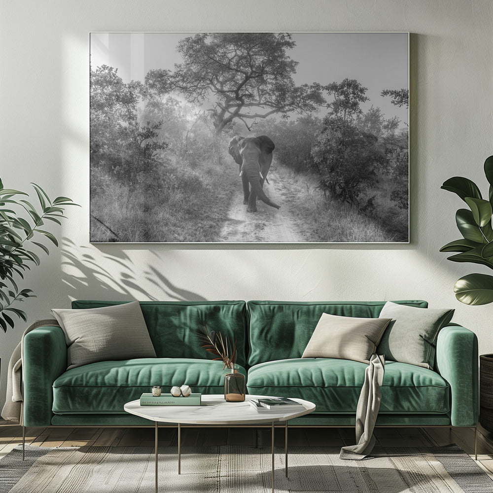 WALKING GIANT | Canvas