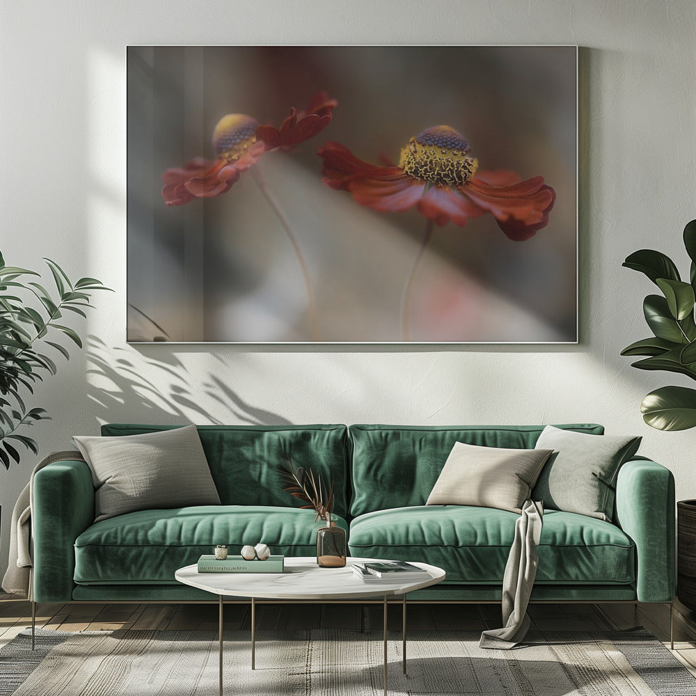 Helenium dance | Canvas