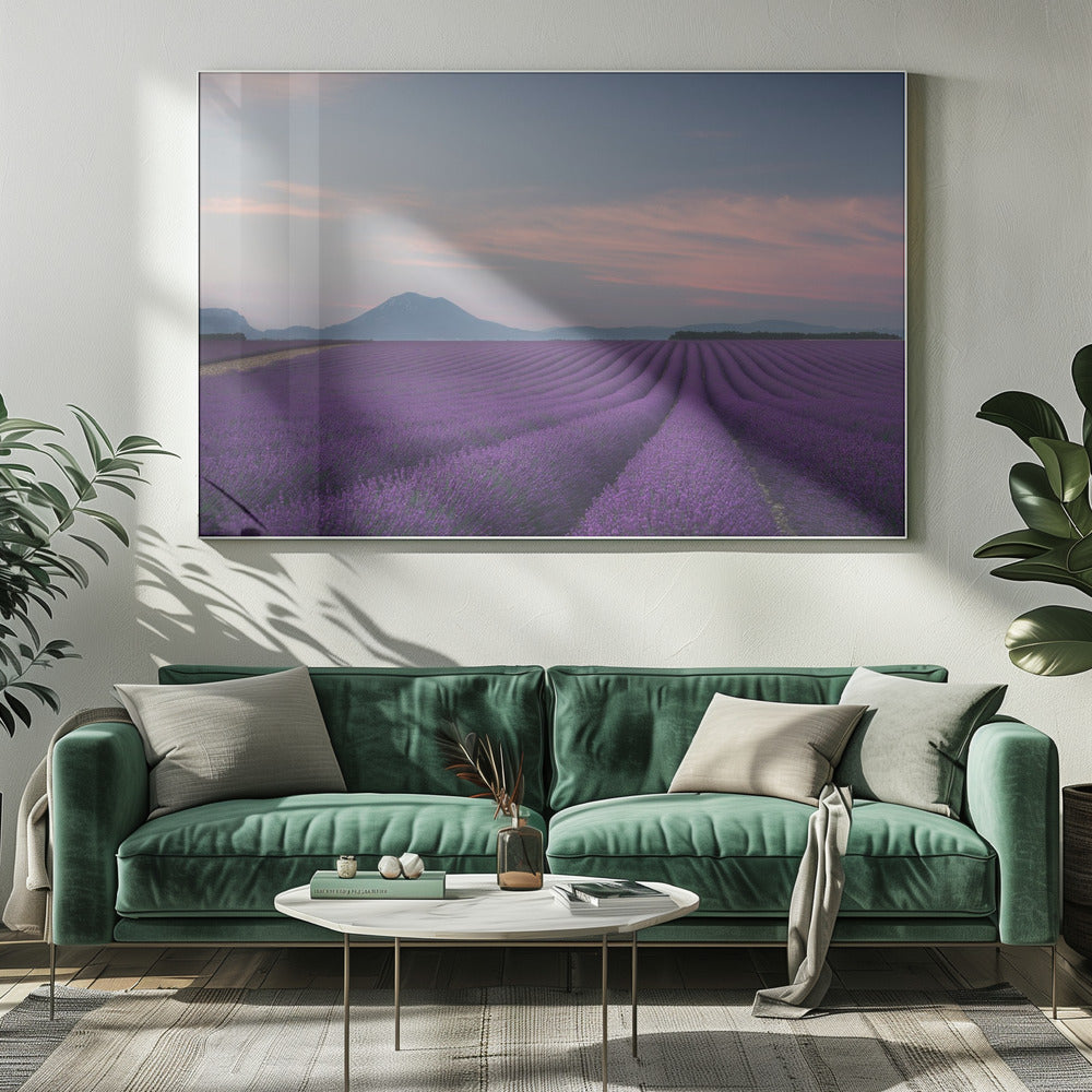 Lavender field | Canvas
