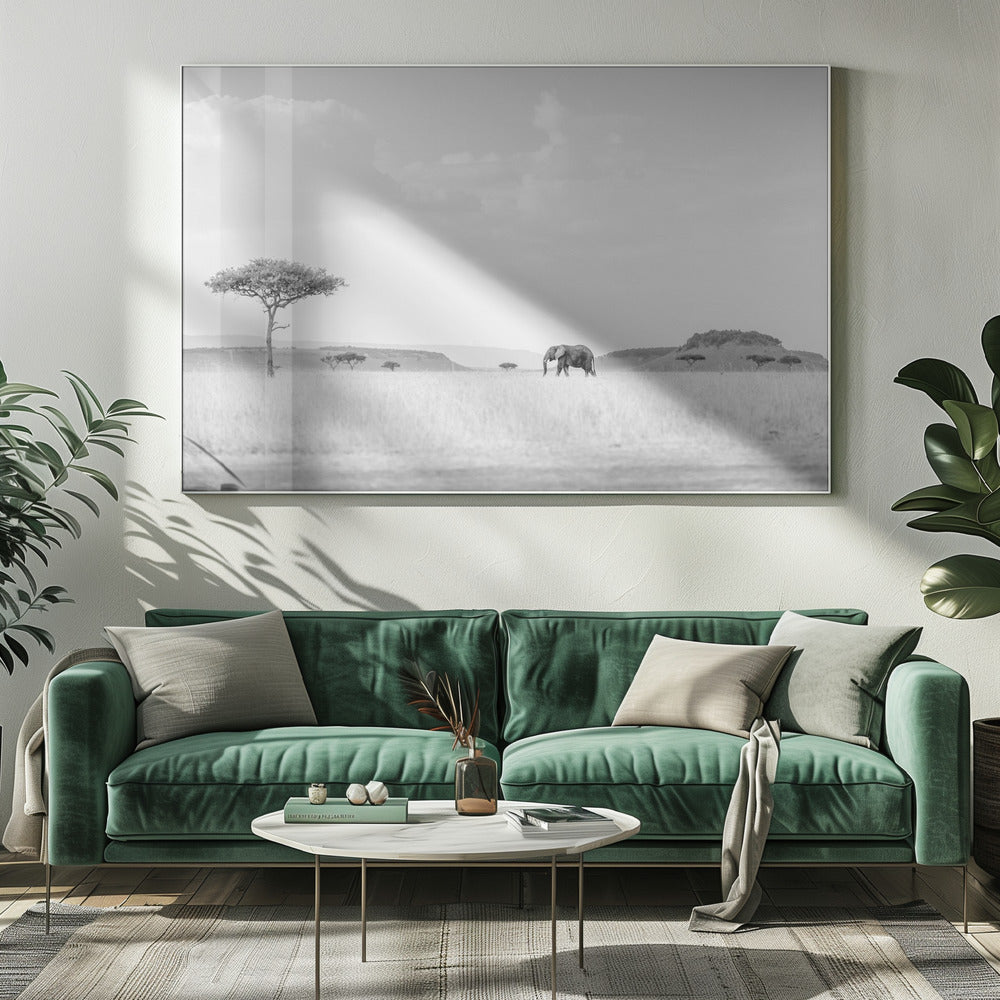 HIGH KEY SAVANNAH | Canvas