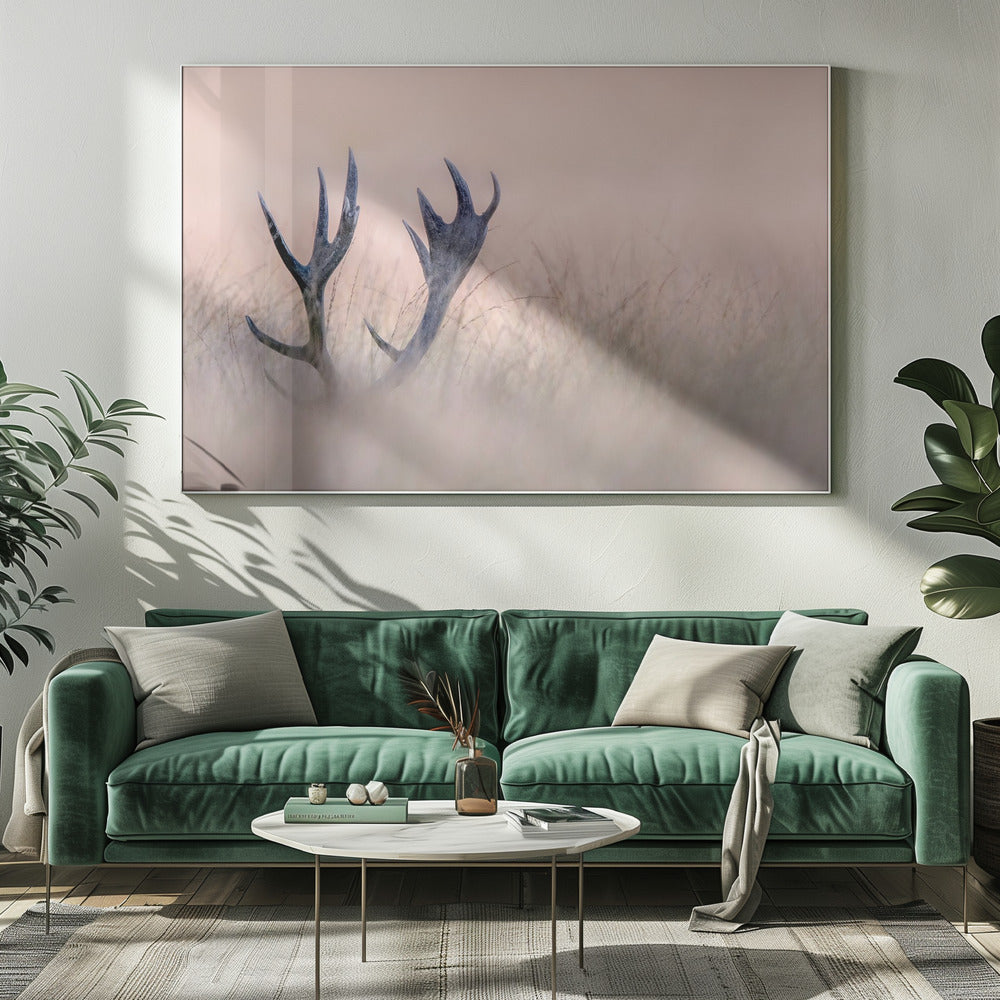 Hide &amp; Seek  ( Horn of Stag) | Canvas