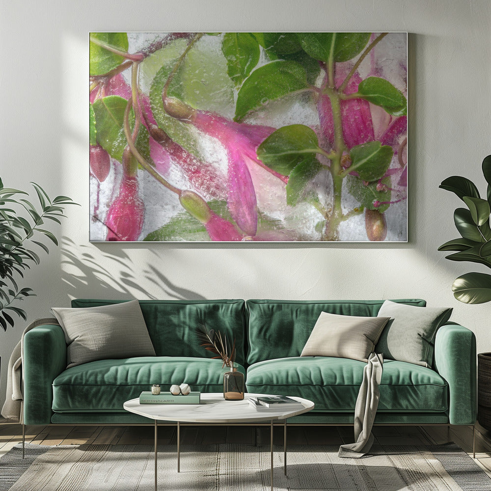 Fuchsia freeze | Canvas