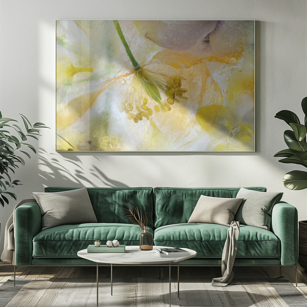 Papaver Ice | Canvas