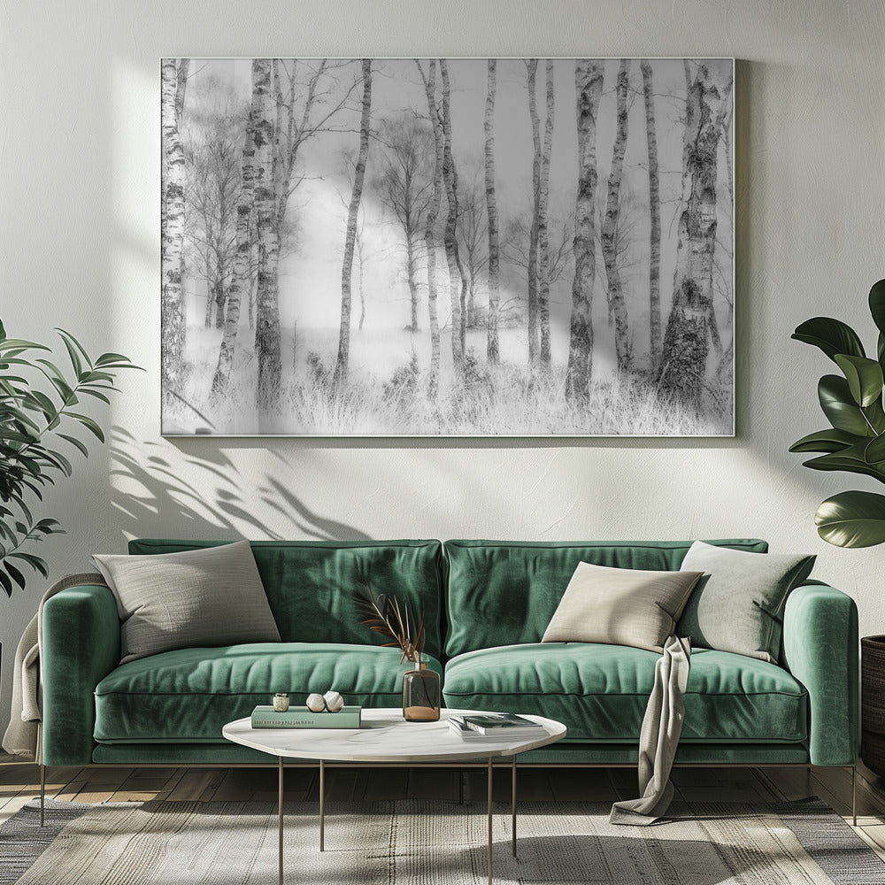 Black and white | Canvas