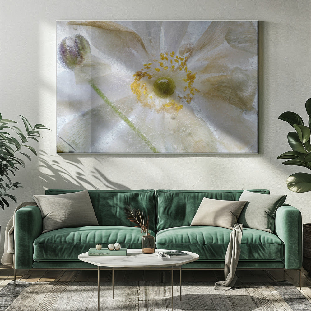 Floral freeze | Canvas