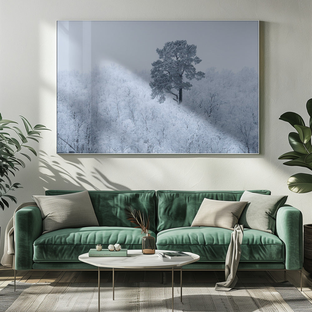 First snow | Canvas