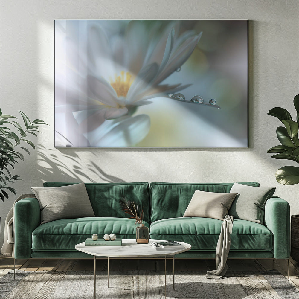 Light touch... | Canvas