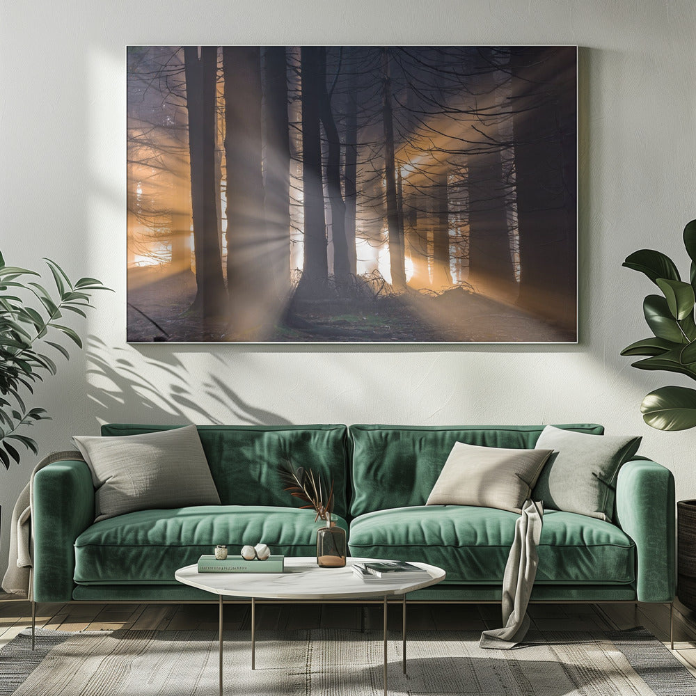 Forest | Canvas