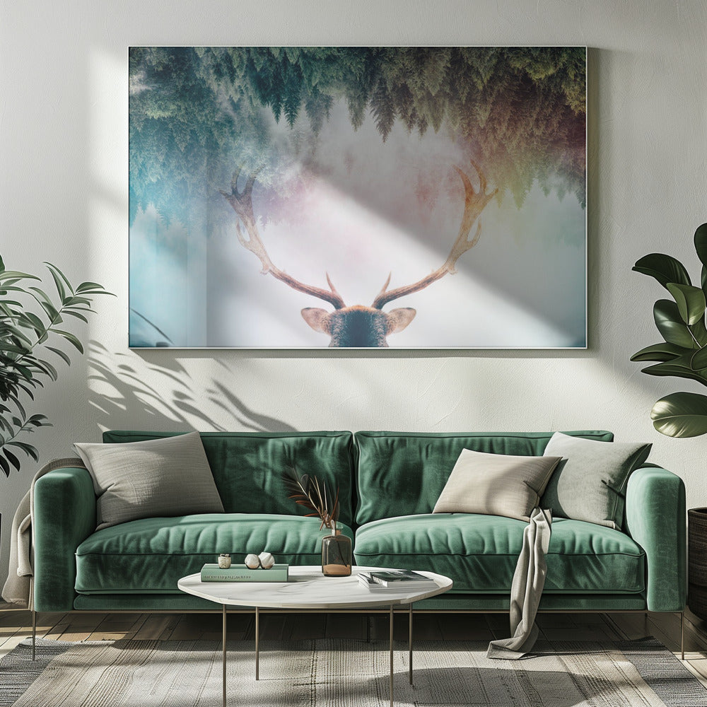 Antler | Canvas