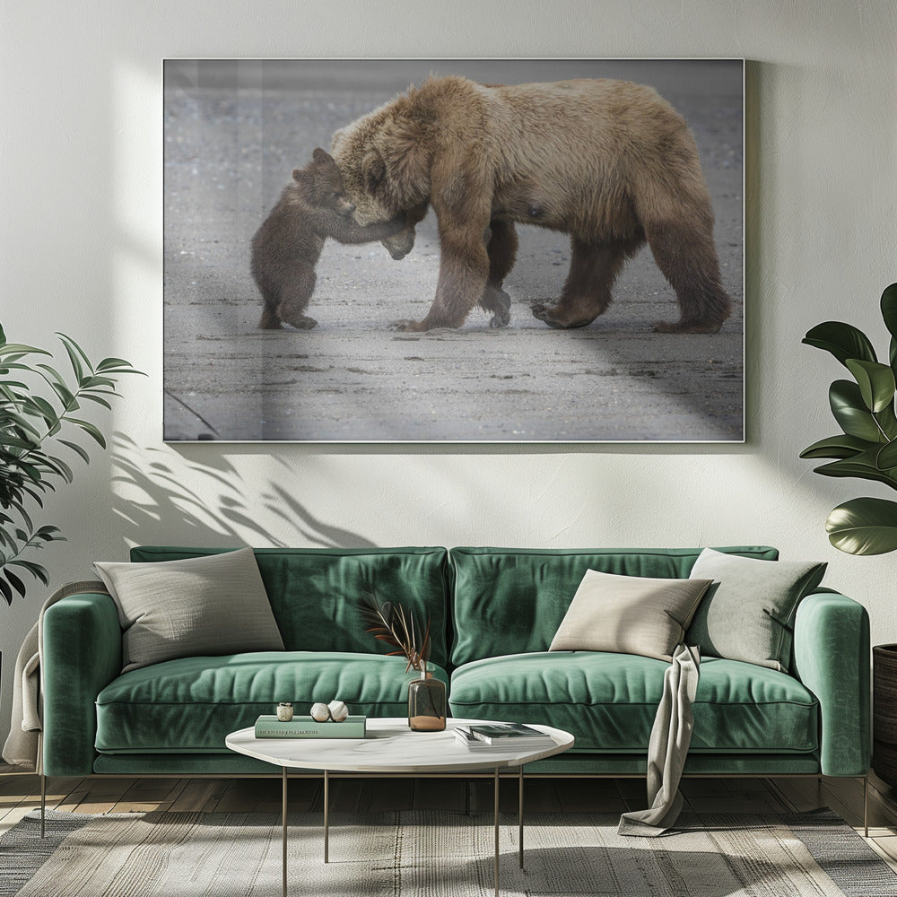 A Little Bear Hug | Canvas