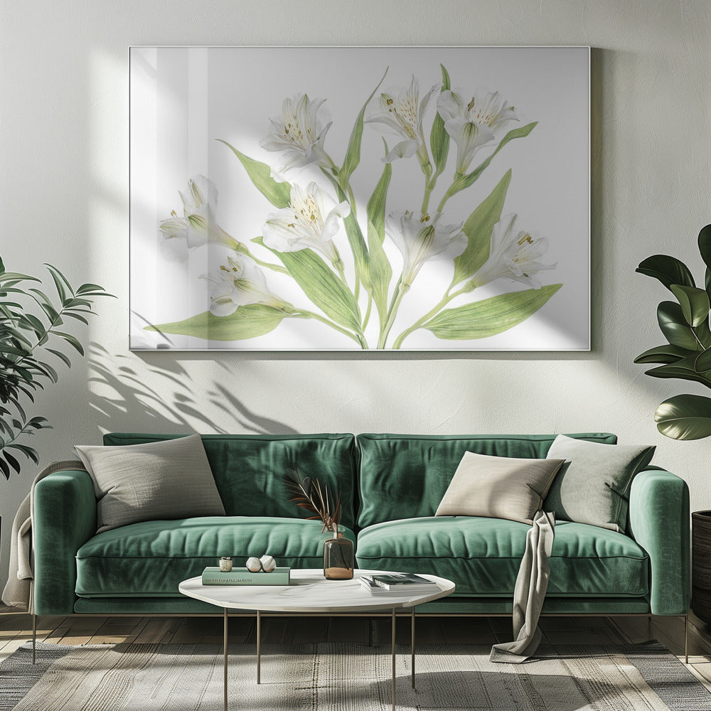 Alstroemeria | Canvas