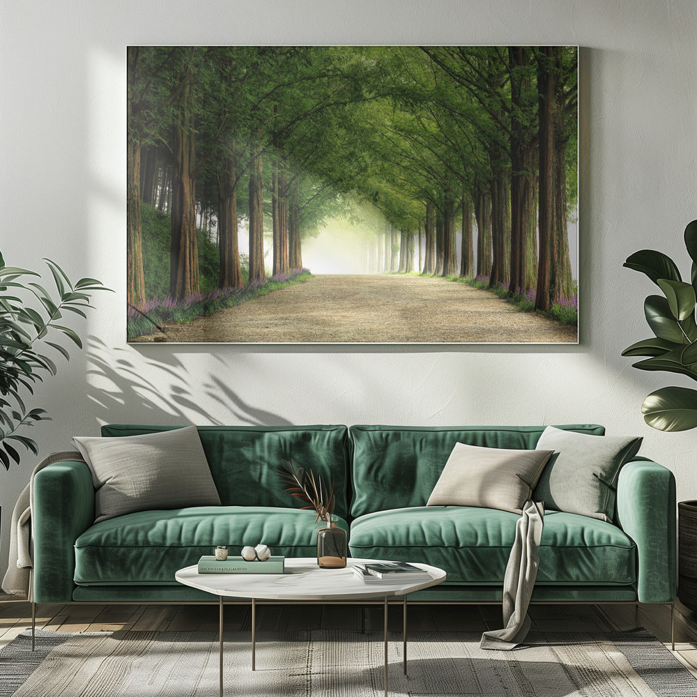 Metasequoia Road | Canvas