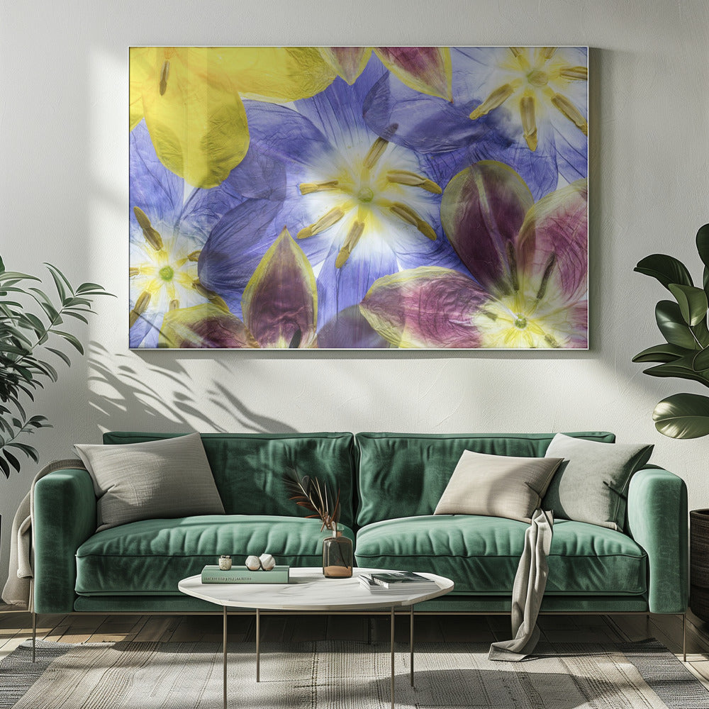 Tulips | Canvas