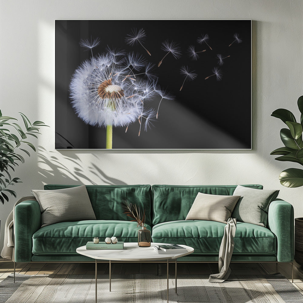 Dandelion Blowing | Canvas