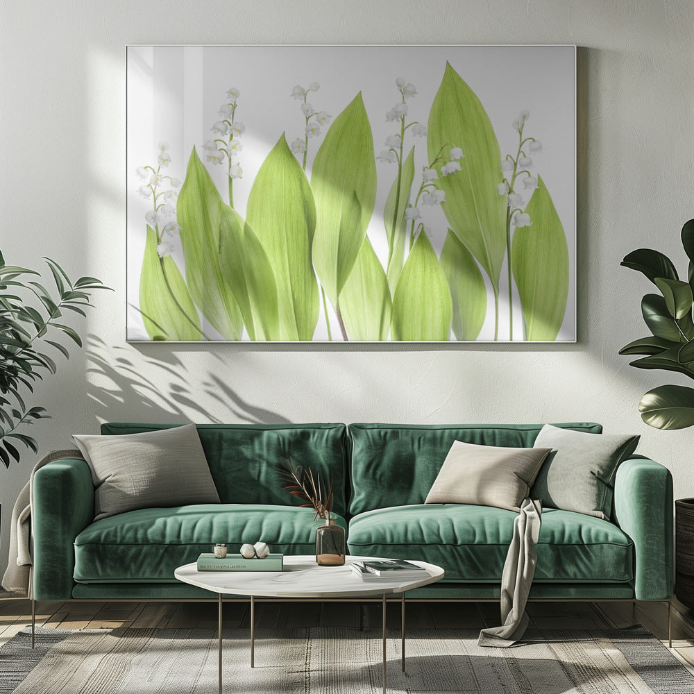Lily of the valley | Canvas