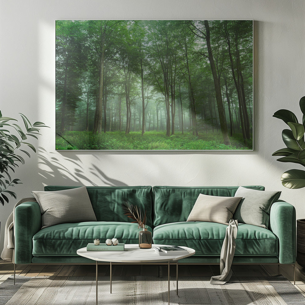 Forest View | Canvas