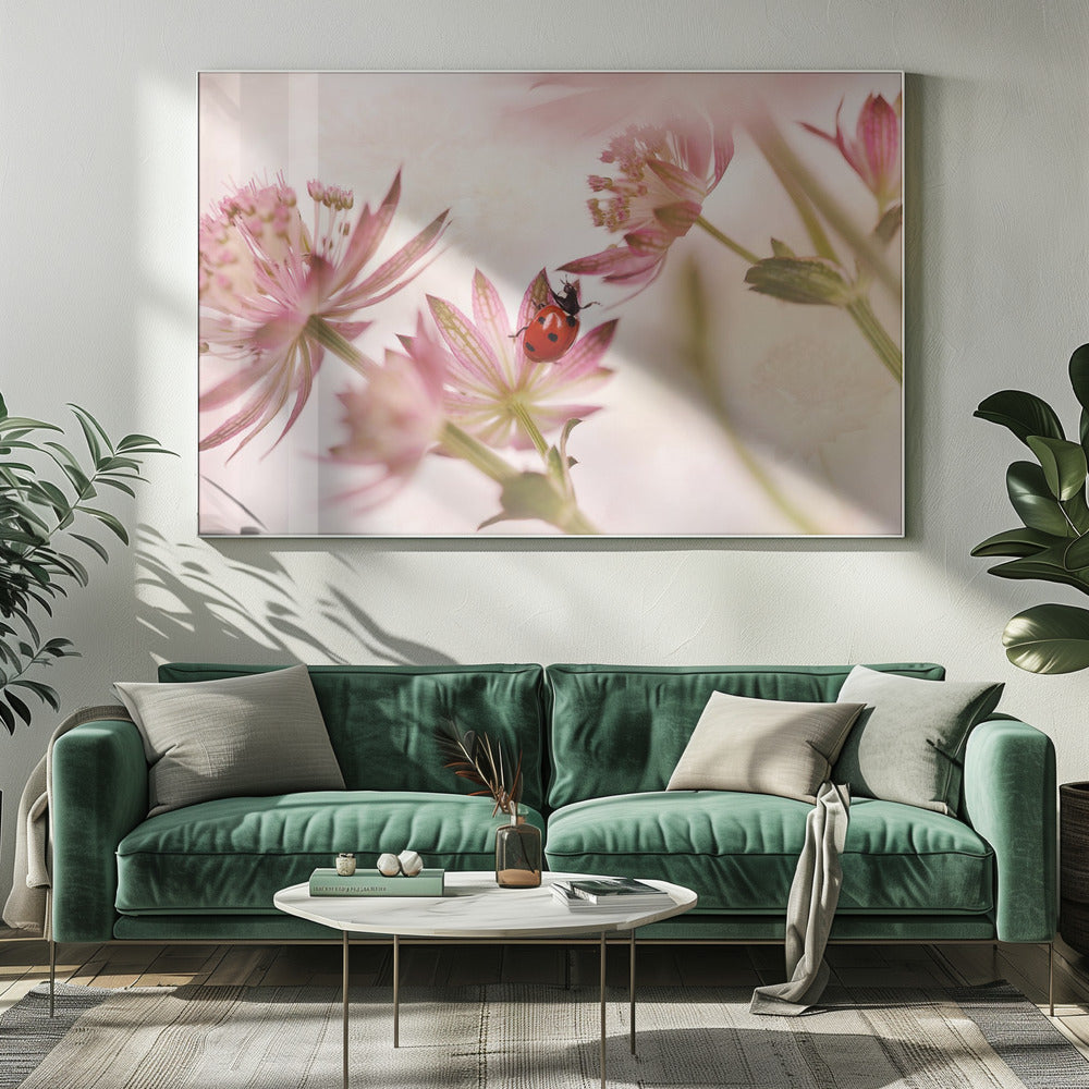 Ladybird and pink flowers | Canvas