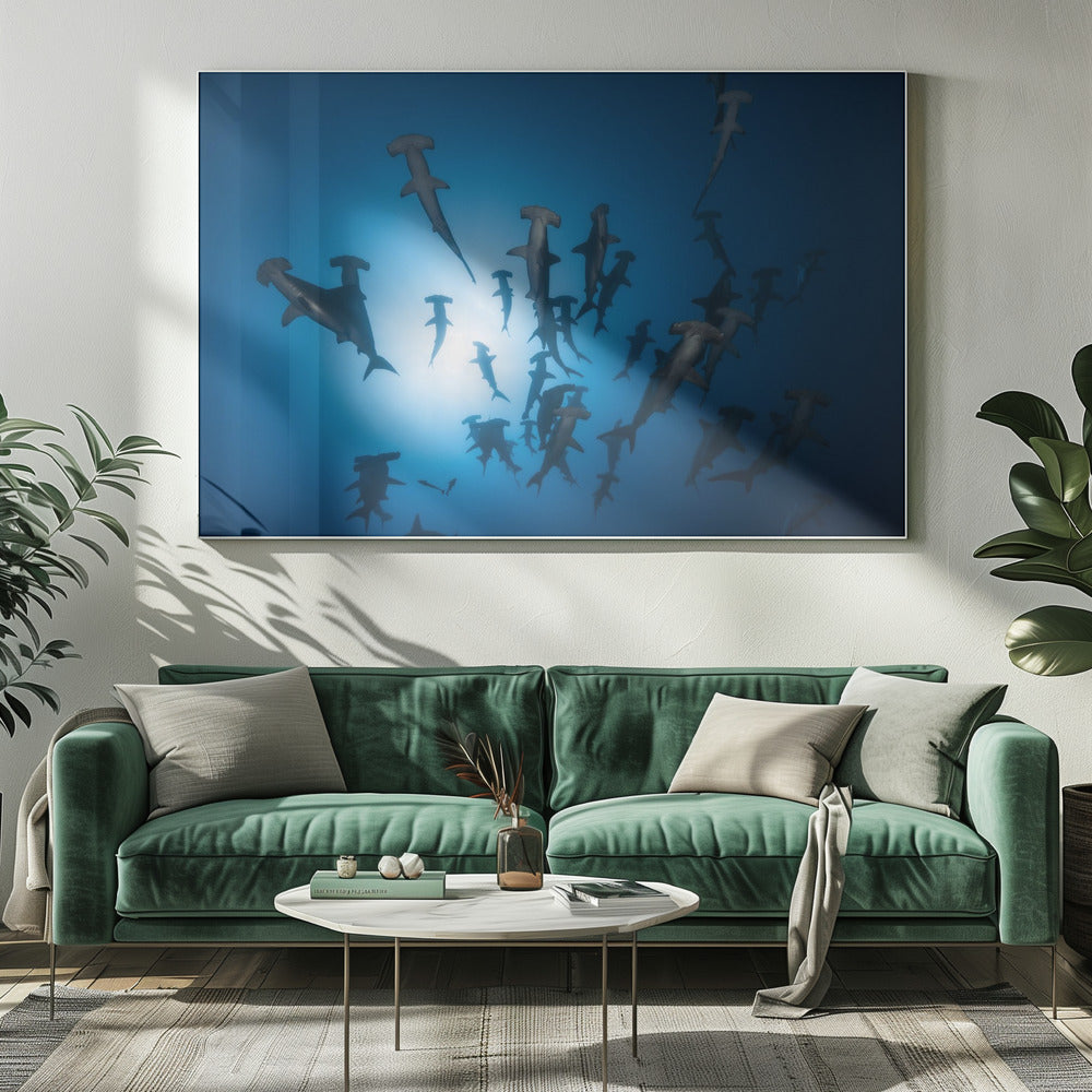 Hammerhead Shark - Underwater Photography | Canvas