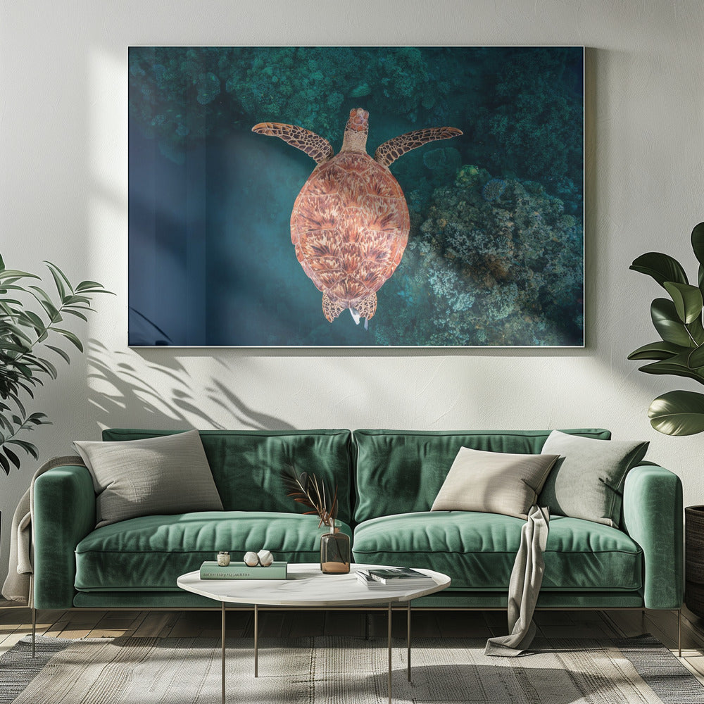 Flying over the reef | Canvas