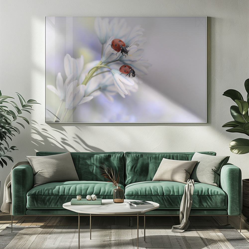 Ladybirds | Canvas