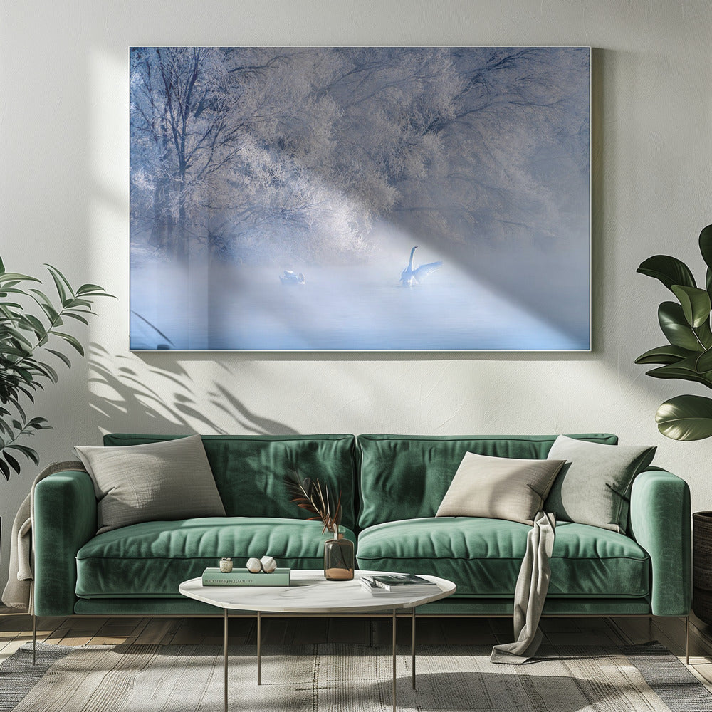 Swan Lake | Canvas
