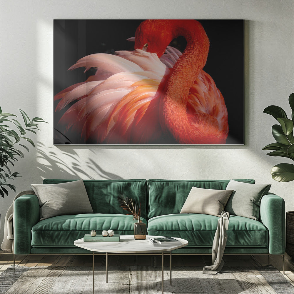 flamingo | Canvas