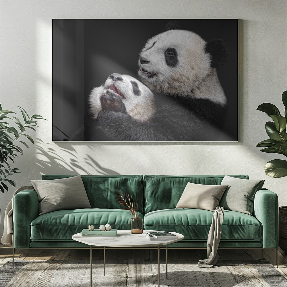 Pandas | Canvas