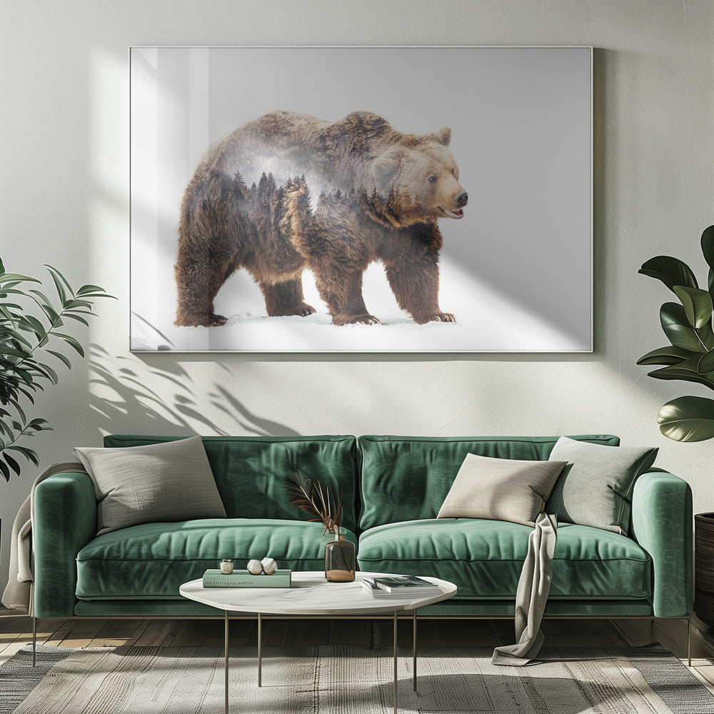 Bear | Canvas