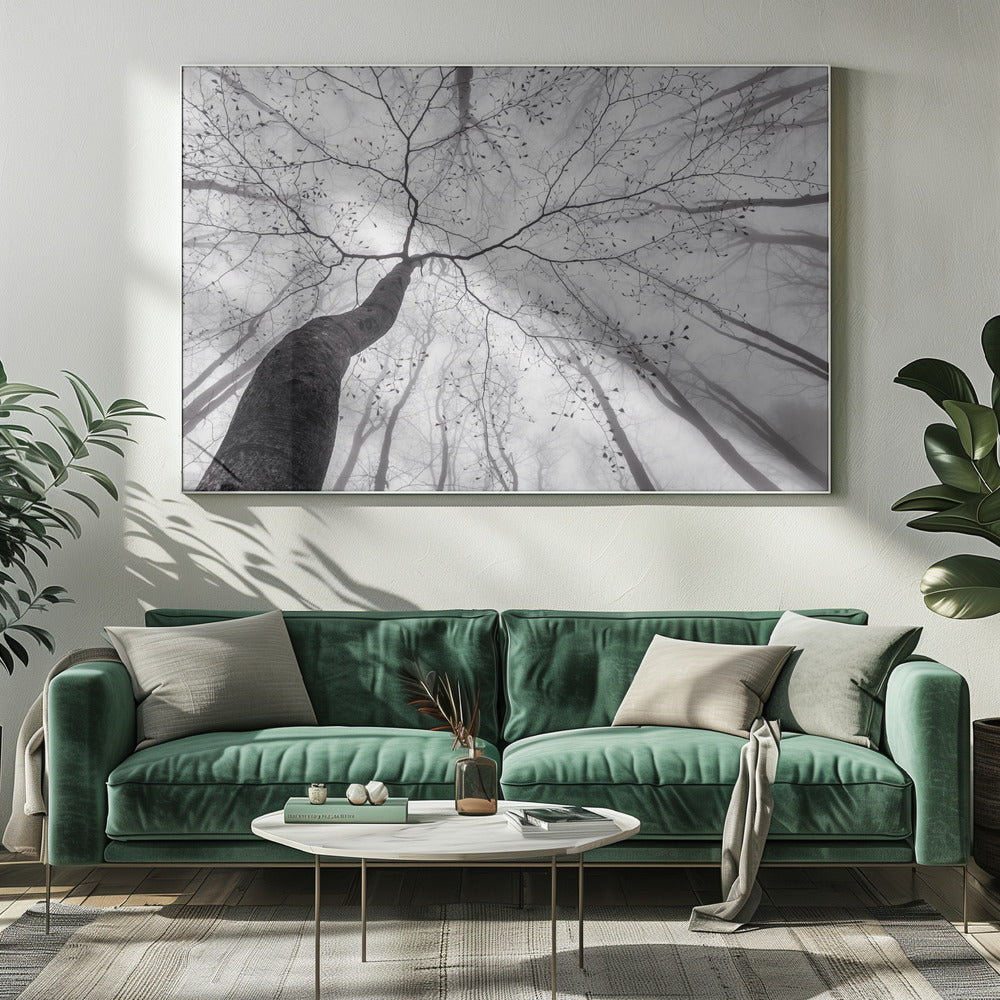 A view of the tree crown | Canvas
