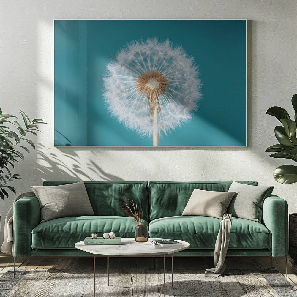 Dandelion | Canvas