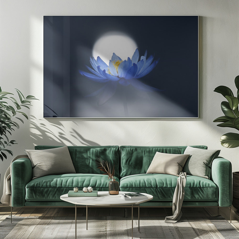 Fleeting dream | Canvas