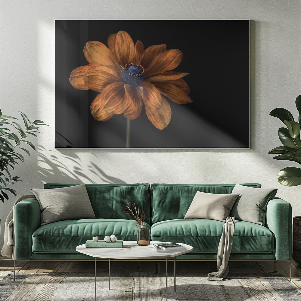 Rudbeckia | Canvas