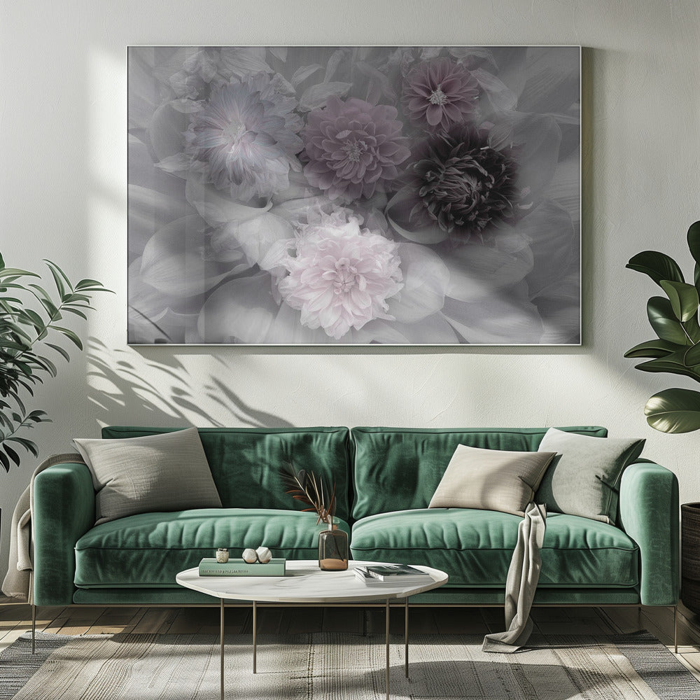 Dahlia dream | Canvas