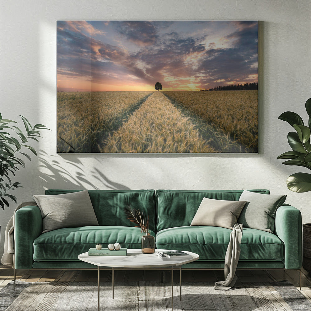 Field of dreams | Canvas