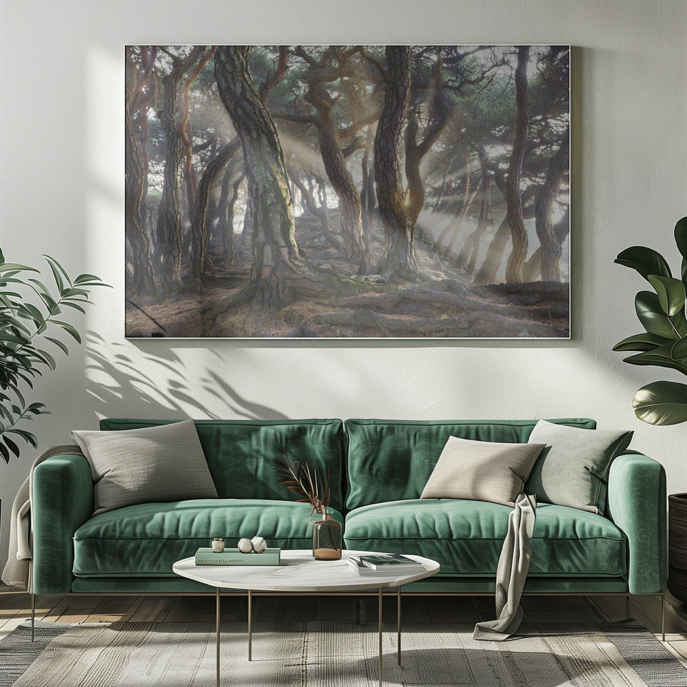 Sacred Pine Trees | Canvas