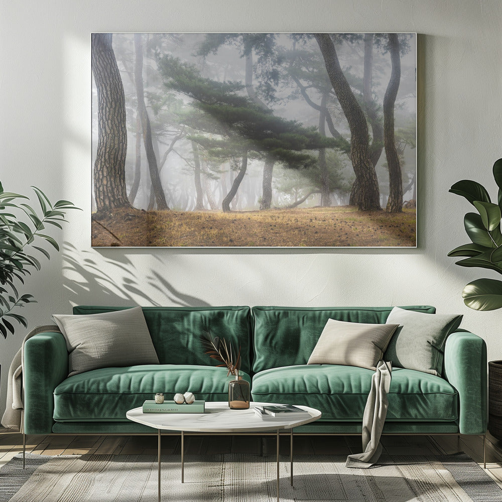 In The Misty Pine Forest | Canvas